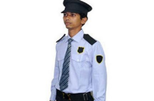 Security Services in Kalol